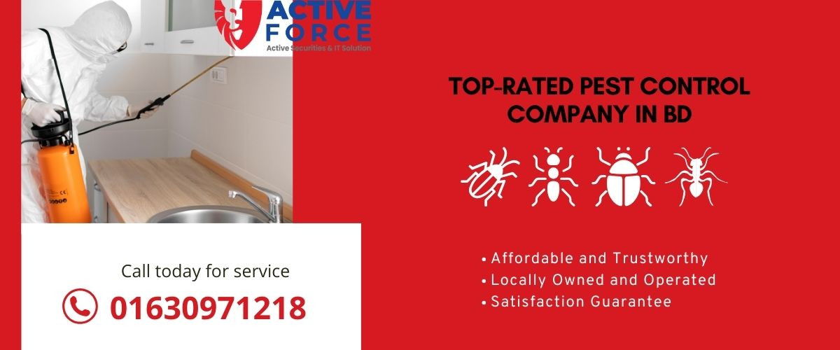The Ultimate Guide to Pest Control in Dhaka City | Active Pest Control